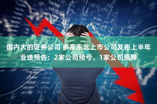国内大的证券公司 多家东北上市公司发布上半年业绩预告：2家公司预亏、1家公司预降